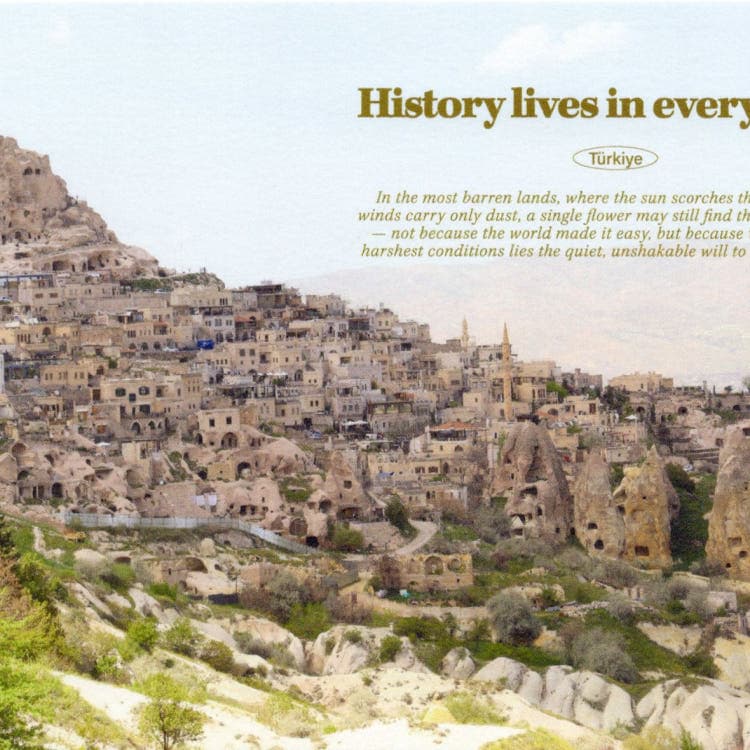 베이파자르 전통시장 디자인 엽서